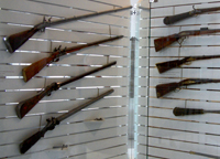 Guns
